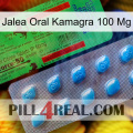 Oral Jelly Kamagra 100 Mg new03